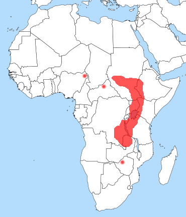 Shoebilldistributionmap