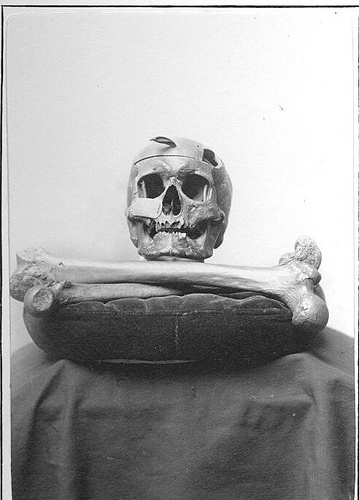 File:Skull and Bones resting on a pillow.jpg
