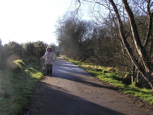 File:The last of the frost, Omagh - geograph.org.uk - 1114021.jpg