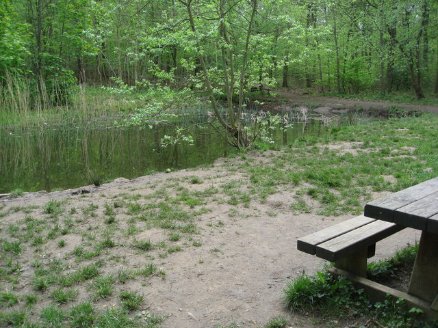 Whitwell Wood - Pond off Half Moon Drive - geograph.org.uk - 790611