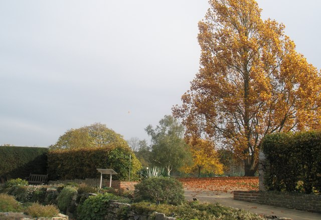 File:Autumnal seat at RHS Wisley (5) - geograph.org.uk - 1562003.jpg