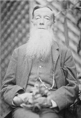 <span class="mw-page-title-main">Frederick Manson Bailey</span> Australian botanist (1827–1915)