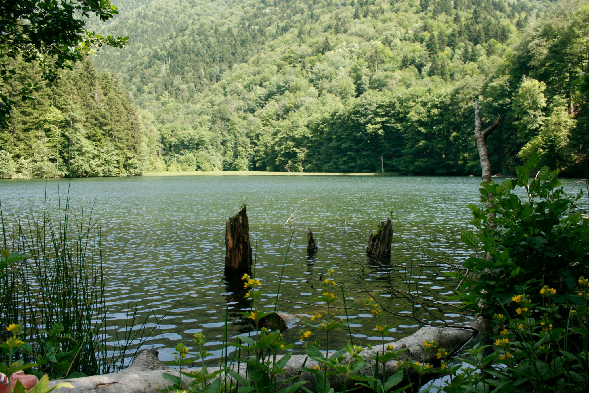 Lake 3. Озеро Батети Грузия. Озеро Надарбазеви Грузия. Озеро Батети Грузия фотографии. Черепашечьи озера Грузия.