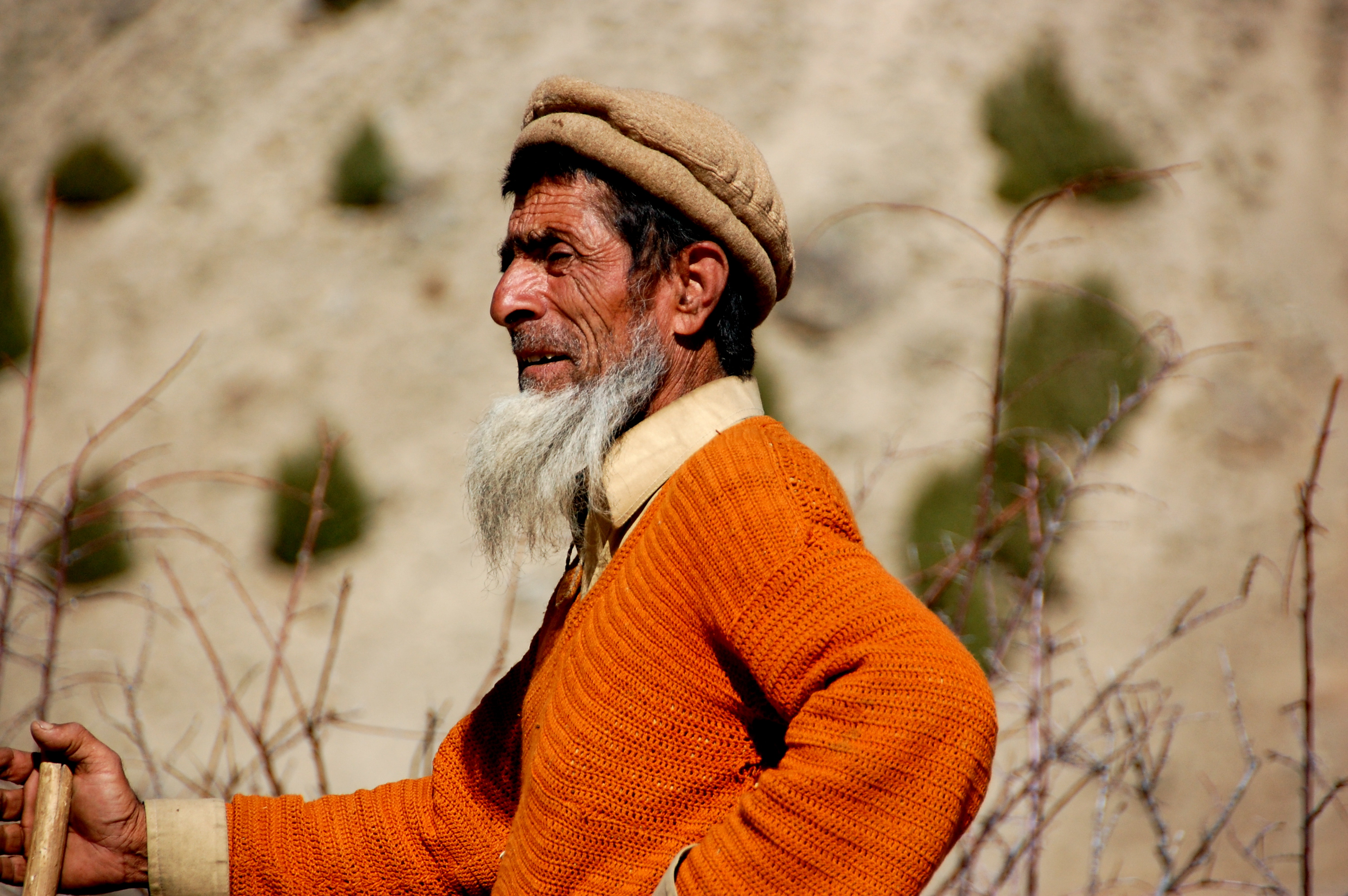 Bearded_man,_Hunza_Valley.jpg