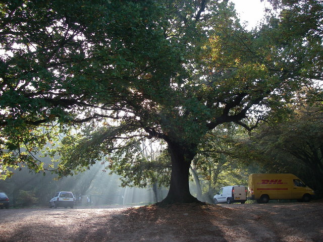 Camelot Car Park, Hainault Forest - geograph.org.uk - 273865