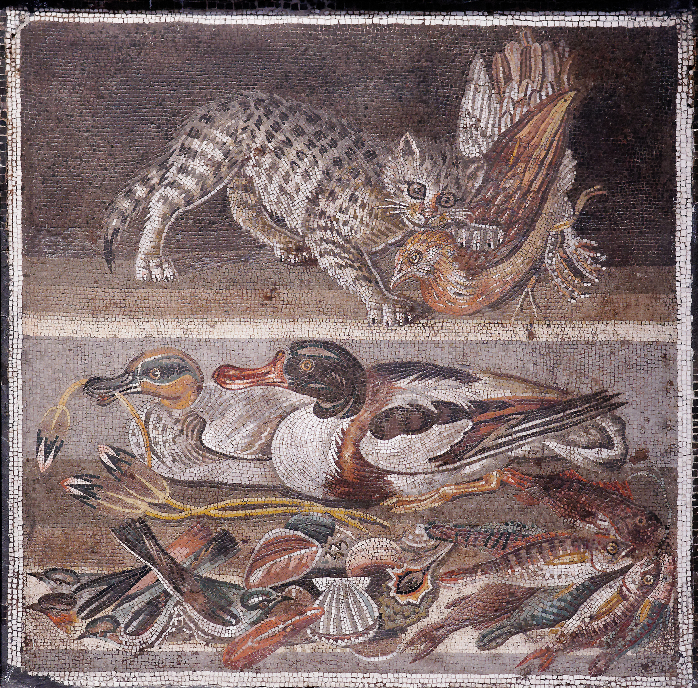 Cat mosaic in Pompeii