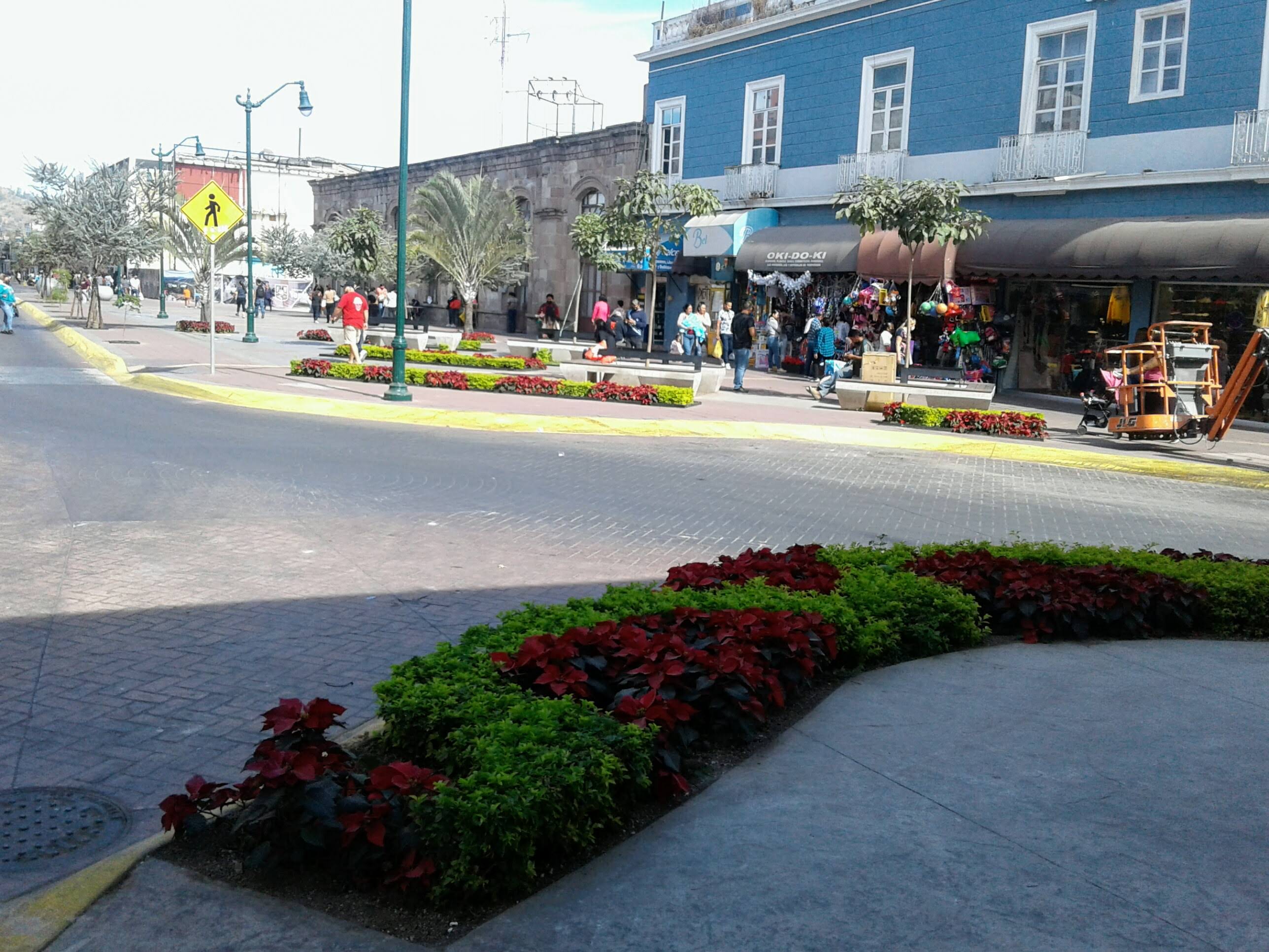 Bienvenid@ - Picture of Centro Historico de Tepic - Tripadvisor