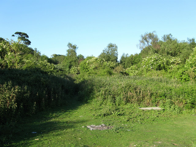 Clapham Common - geograph.org.uk - 1333816