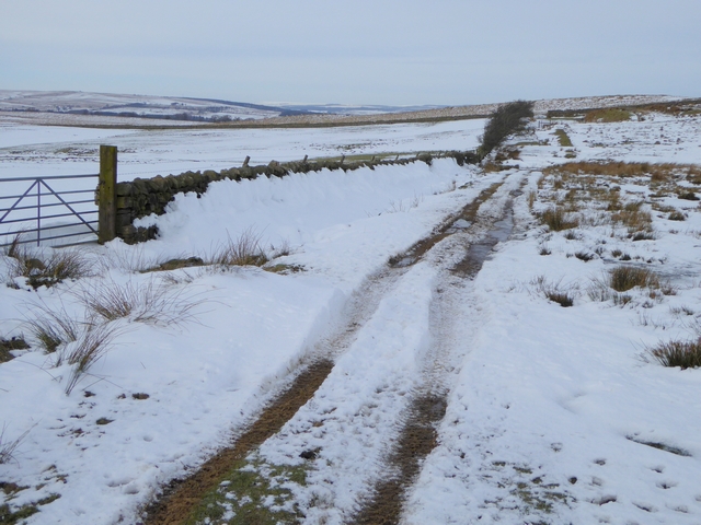 File:Farm road near Low Ramshaw - geograph.org.uk - 4333602.jpg