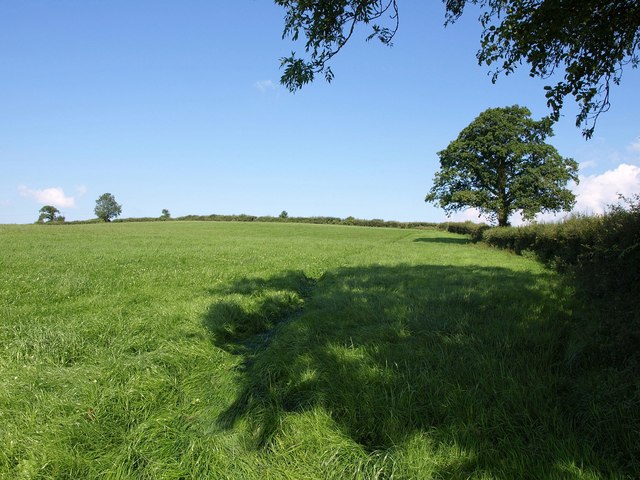 File:Field west of Holcombe Rogus - geograph.org.uk - 2507986.jpg