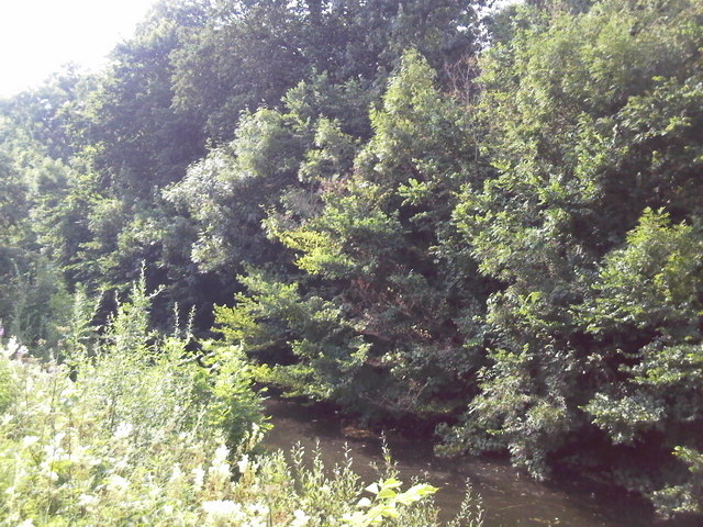 File:Folly Drain - geograph.org.uk - 1229856.jpg