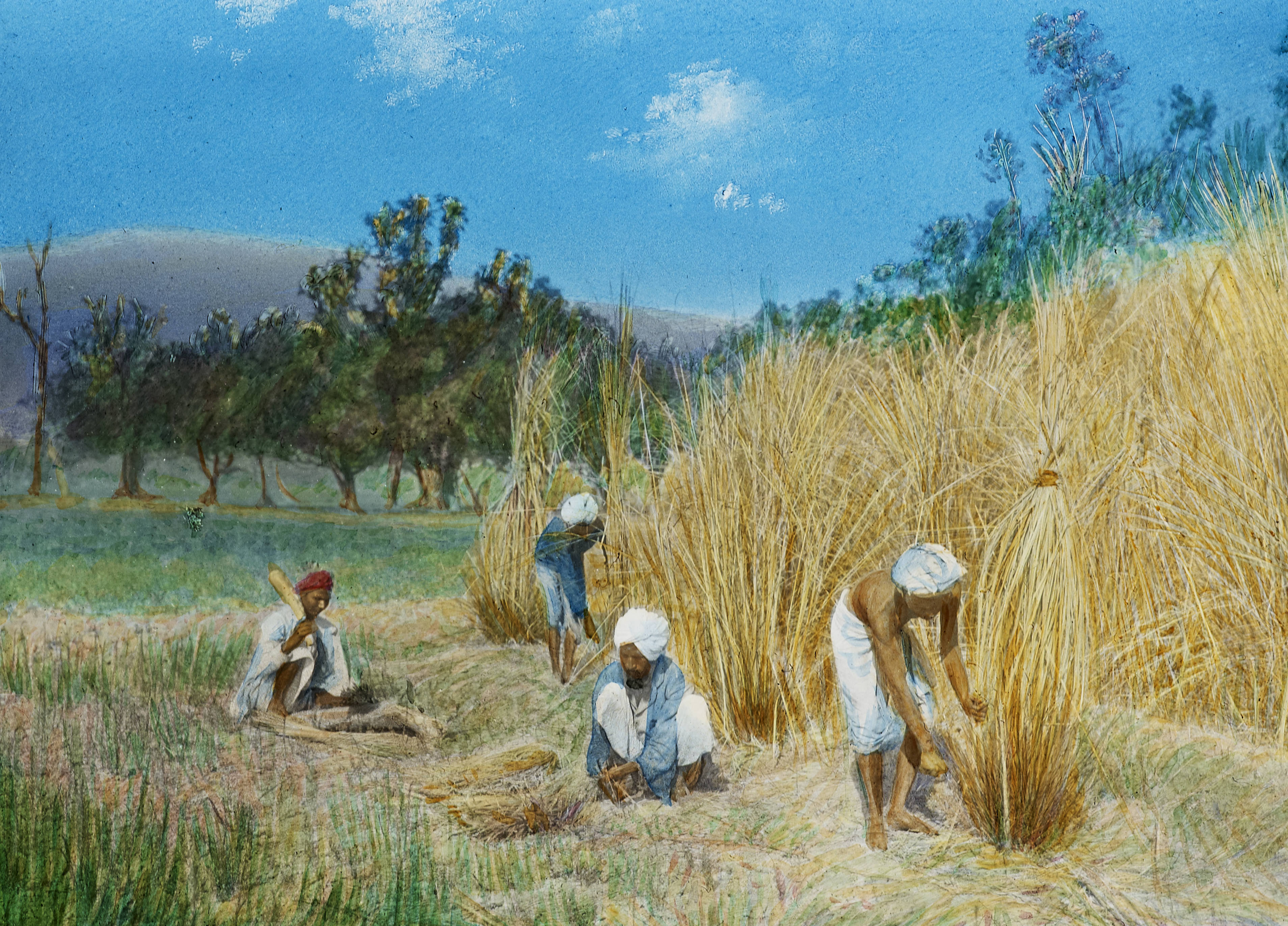 File:Gopalganj- Cutting grass and making rope, India, ca. 1915