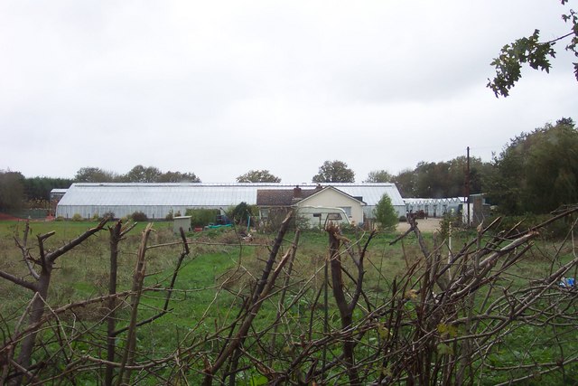 File:Hall's Court Nursery - geograph.org.uk - 279005.jpg