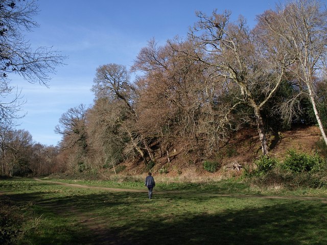 File:Meadow by Parke Bridge - geograph.org.uk - 1209829.jpg