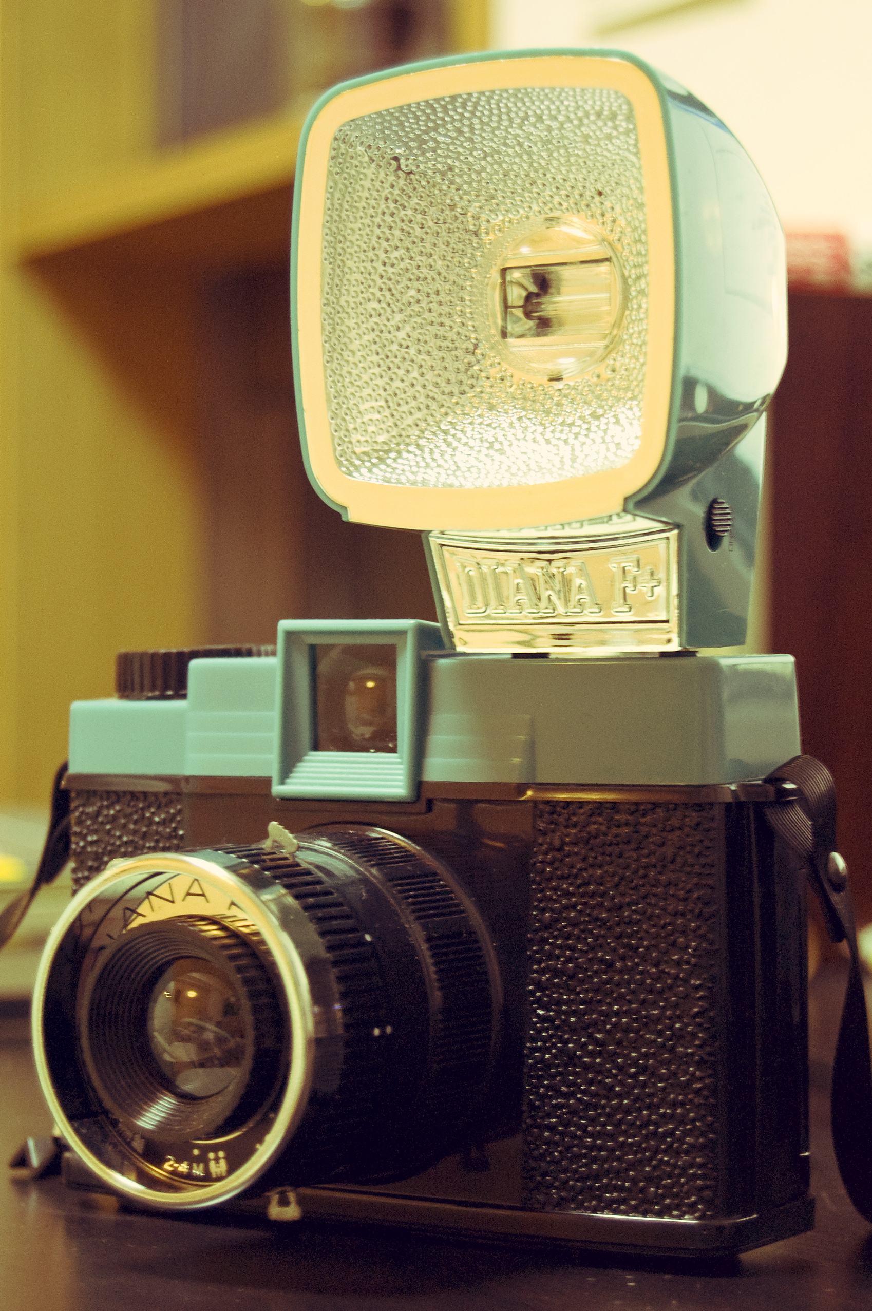 Diana F+ with Flash by Fabian Reus