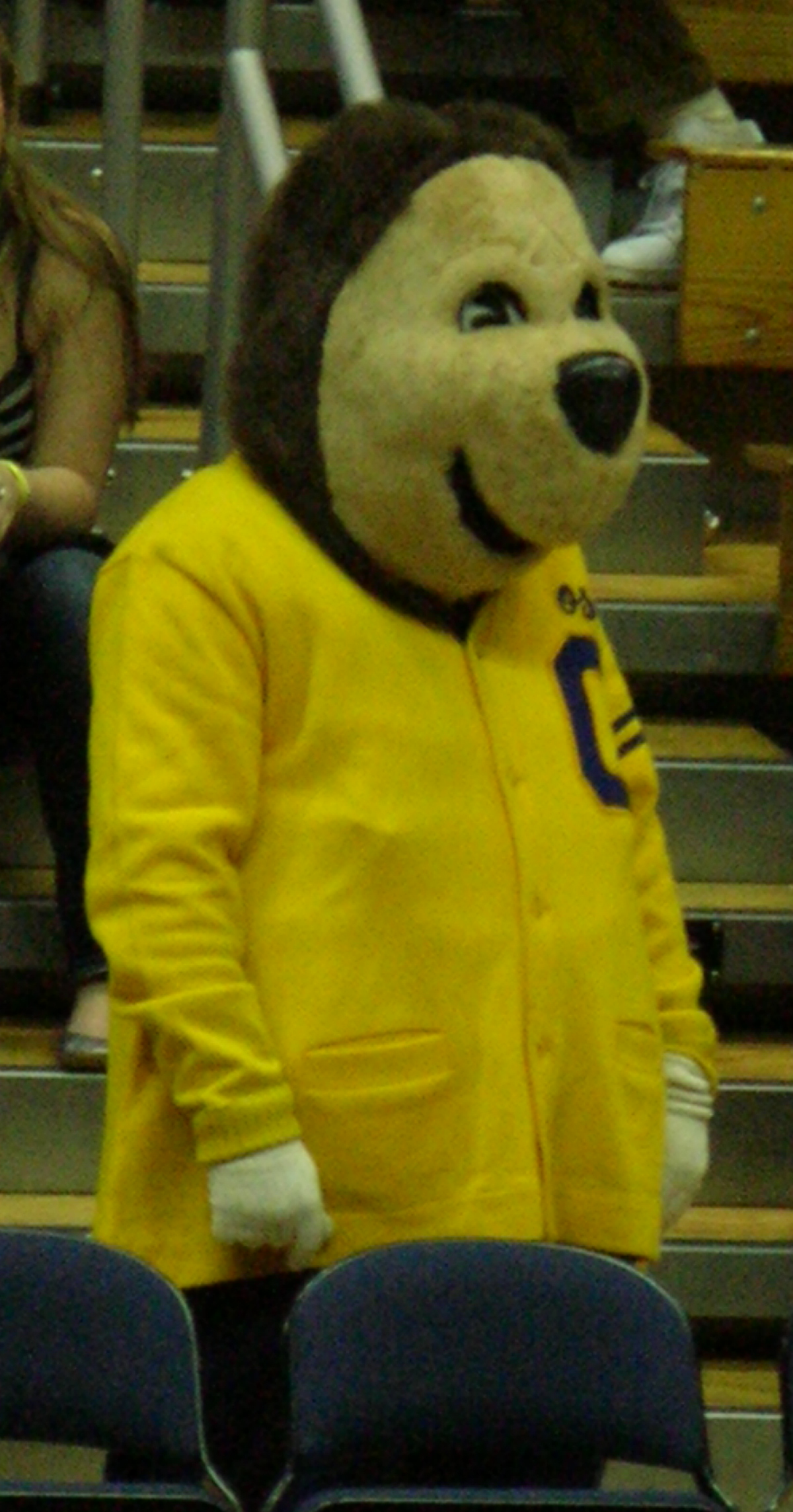 Brisky the Bear, Mascot Wiki