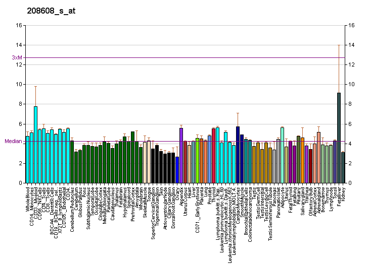 File:PBB GE SNTB1 208608 s at fs.png