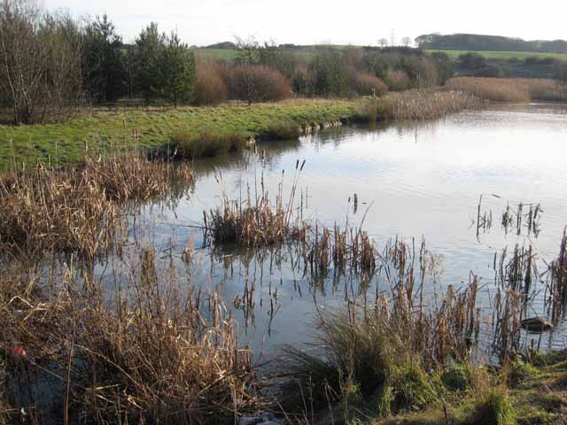 Pond at Hetton Lyons Country Park - geograph.org.uk - 314149
