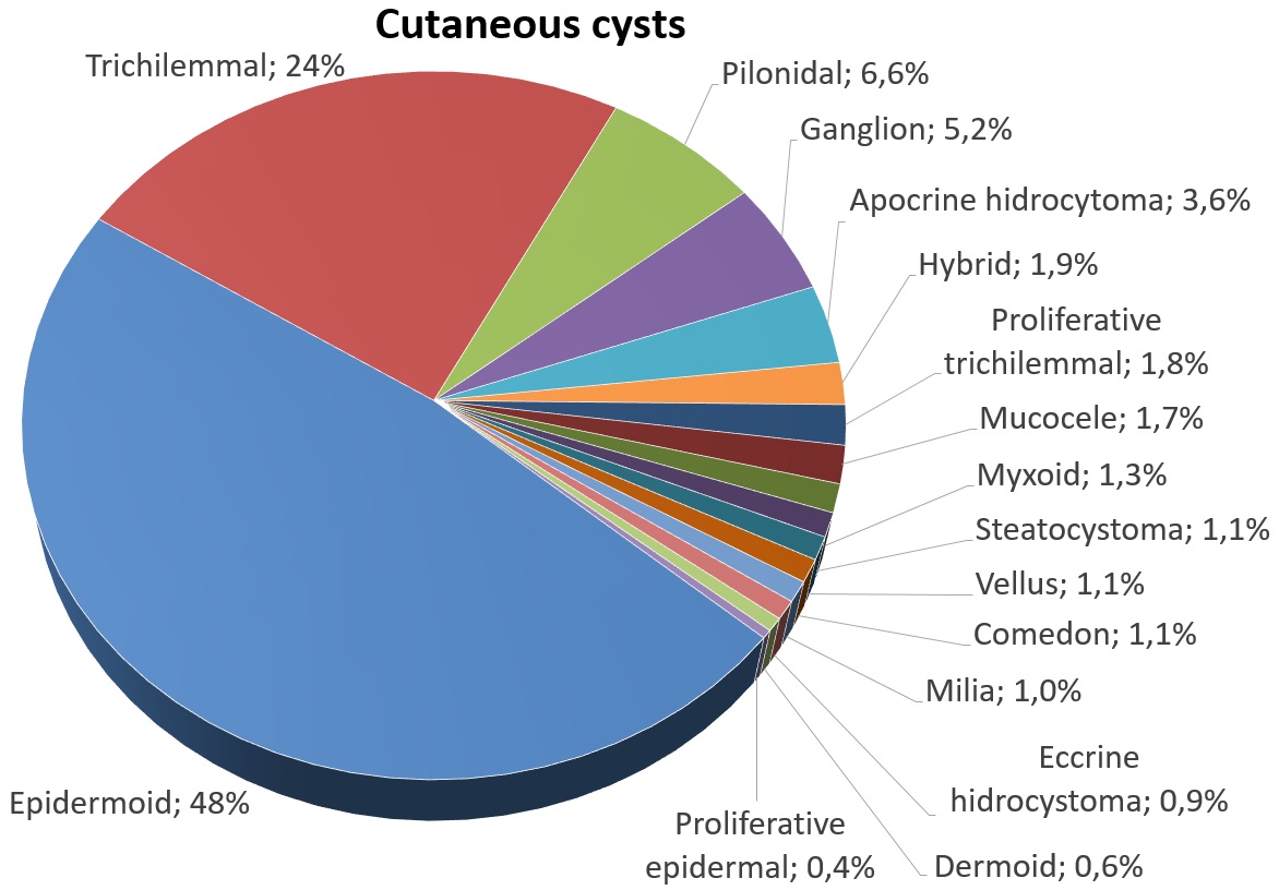 Rubinstein Taybi Syndrome: Most Up-to-Date Encyclopedia, News & Reviews