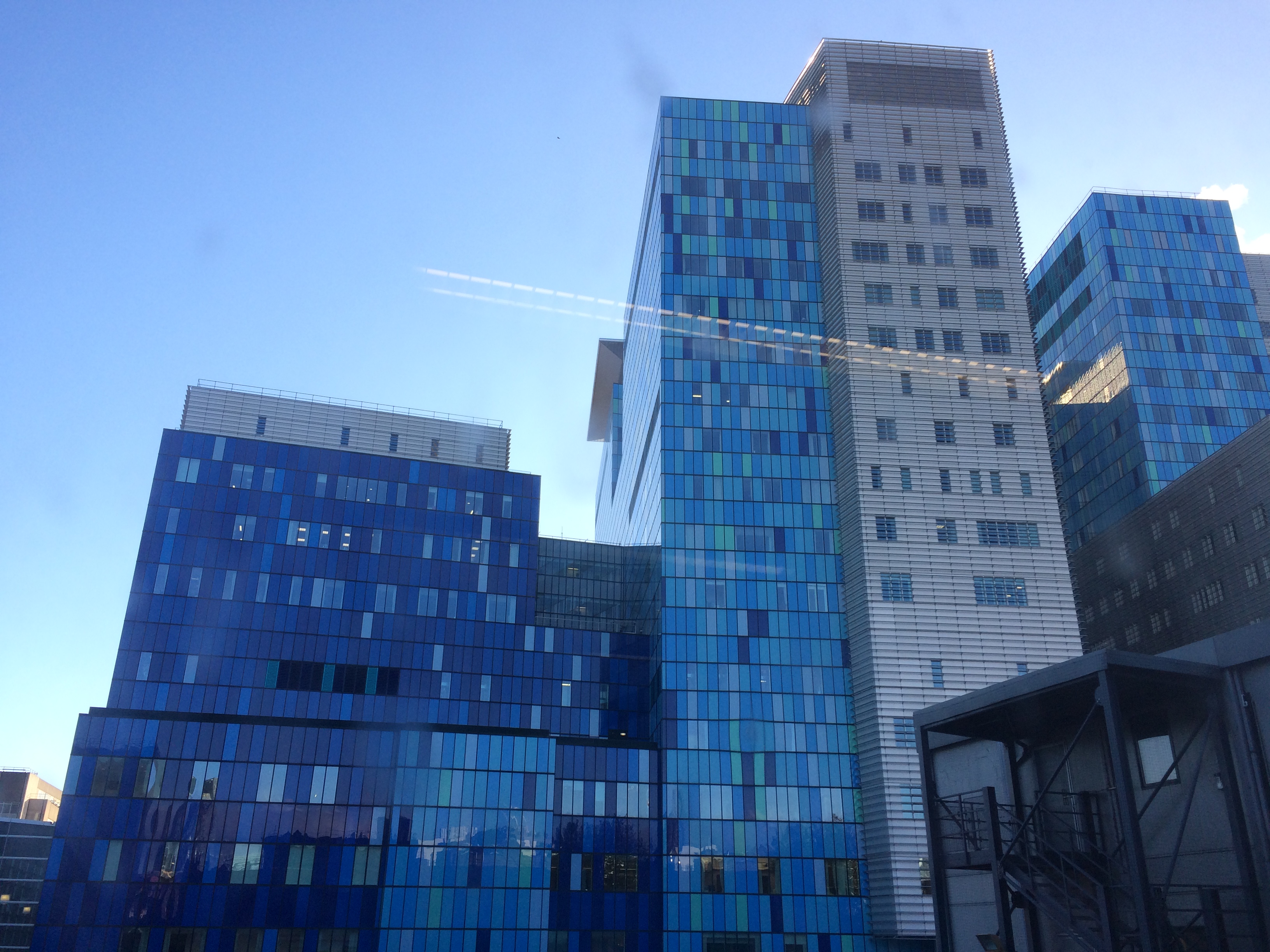 Роял Лондон Хоспитал. Royal London Hospital.