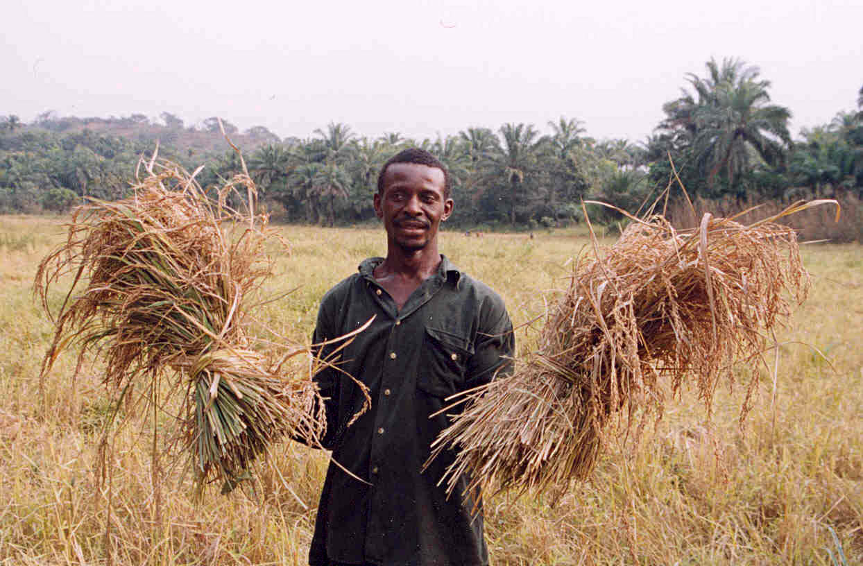 Sierra_Leone_rice_farmer.jpg