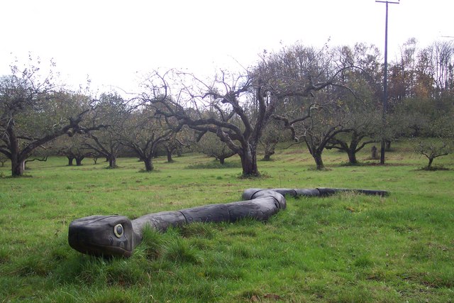 File:Snake in No Man's Orchard - geograph.org.uk - 1588167.jpg