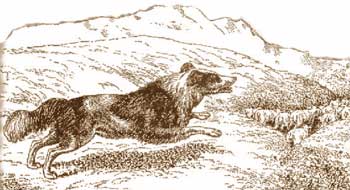 File:The Shepherd's Dog by Samuel Howitt.jpg