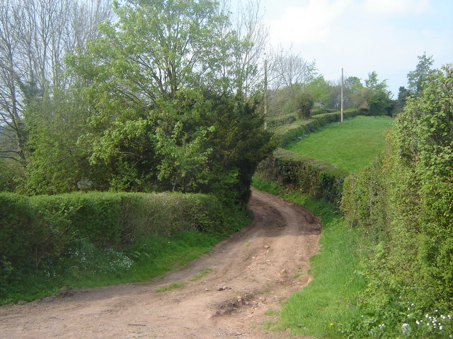 File:Track at Wood Farm, Gwehelog - geograph.org.uk - 407225.jpg