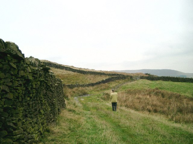 File:Track on Wiswell Moor - geograph.org.uk - 61531.jpg