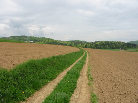 File:Trail between two fields (Slovenia, Selo pri Mirni).jpg