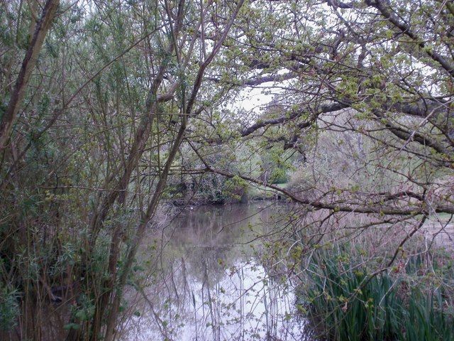 Upton House, duck pond - geograph.org.uk - 1843588