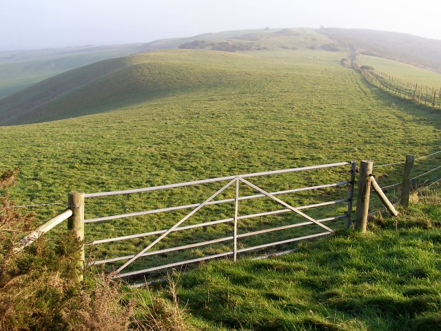 View along the Ridgeway towards Bronkham Hill - geograph.org.uk - 297726