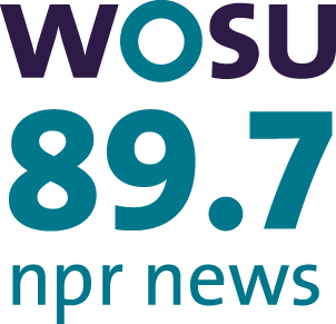 <span class="mw-page-title-main">WOSU-FM</span> Public radio station in Columbus, Ohio