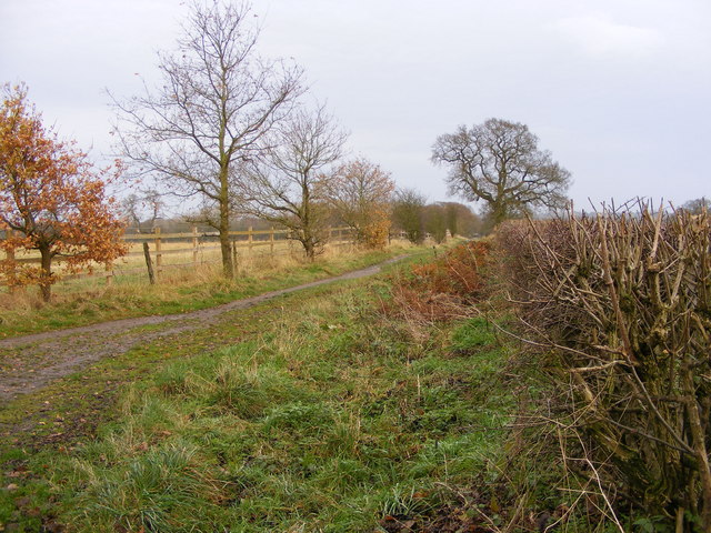 File:Ways Path - geograph.org.uk - 1618629.jpg