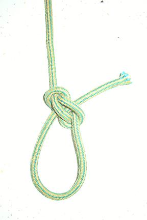 <span class="mw-page-title-main">Zeppelin loop</span> Form of loop knot