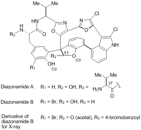 File:(-)-diazonamide A initial assign.gif