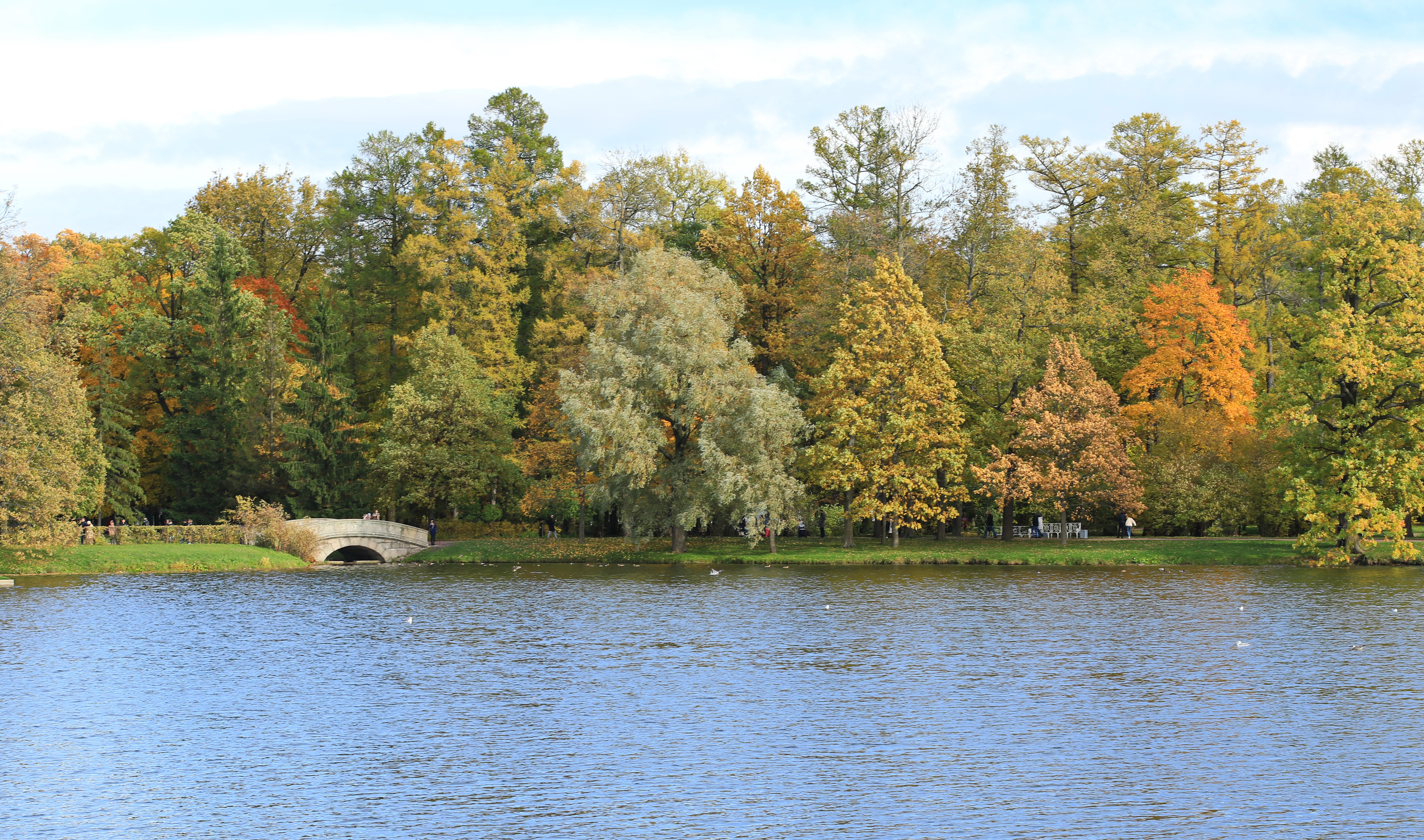 Село жуковский. Царское село 2 Истра. Царское село Белорецк. Район Царское село Стерлитамак. Зал на острову в Царском селе.