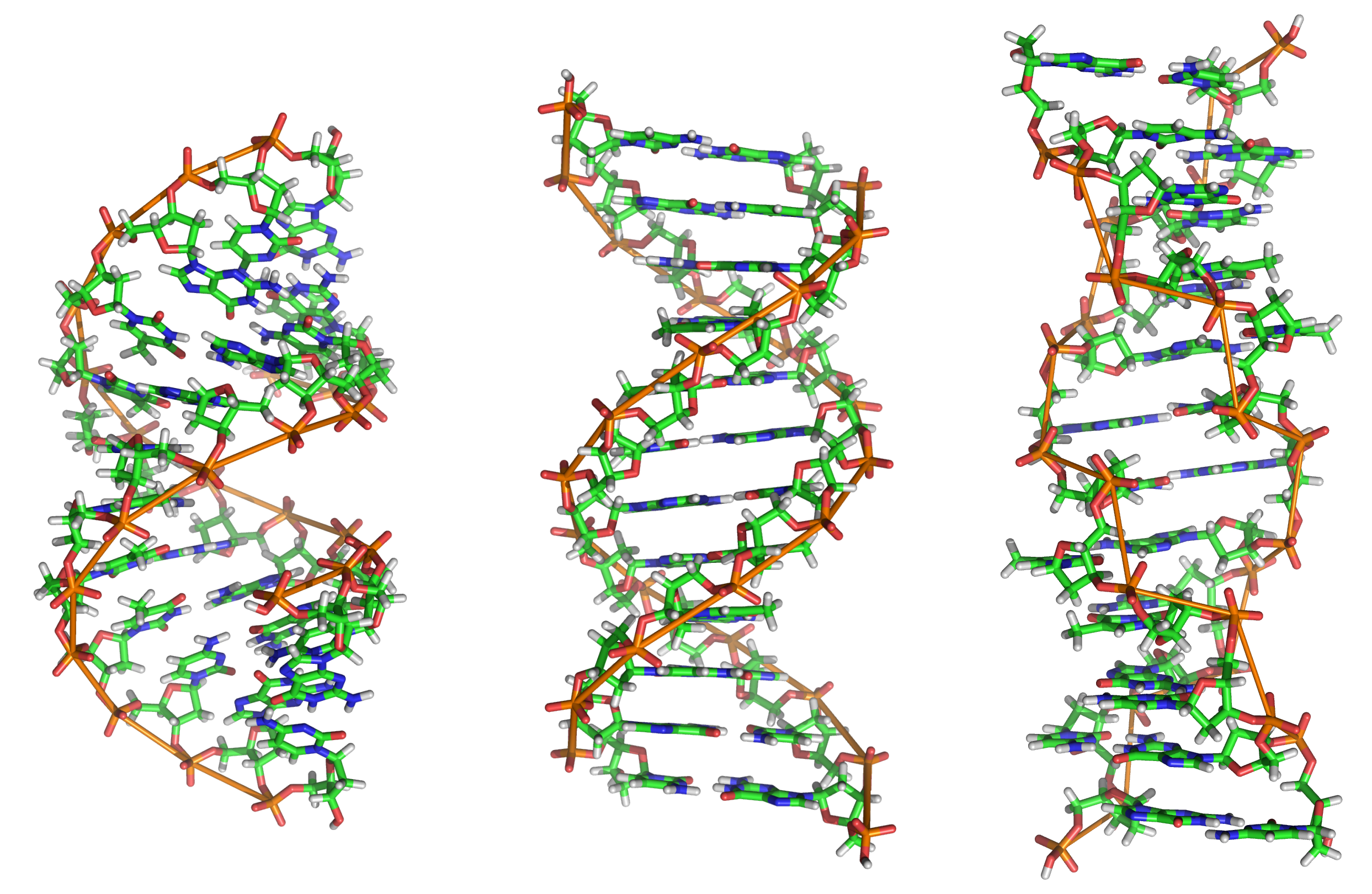 Obsolete Models Of Dna Structure Wikipedia