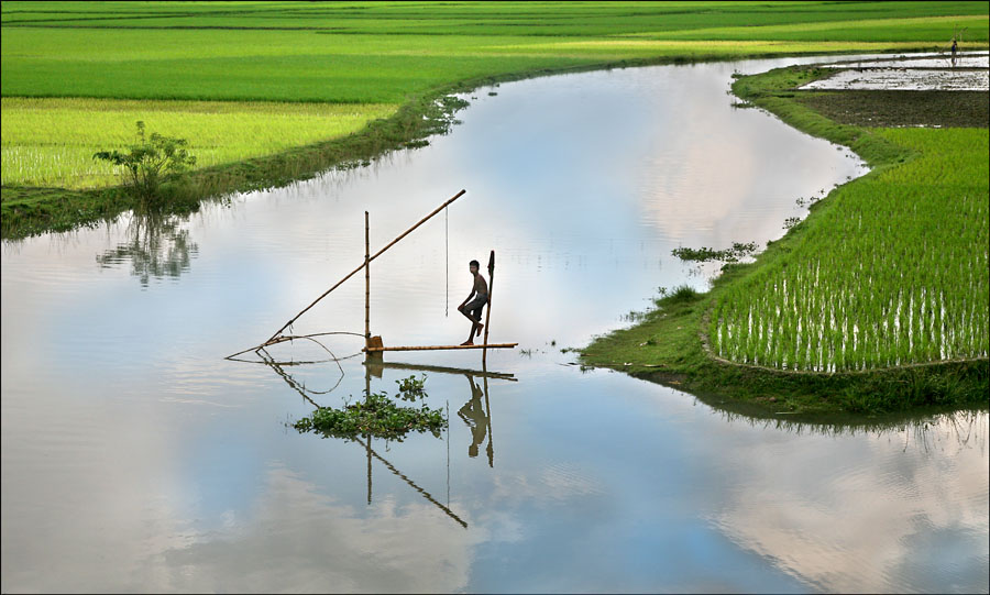 Why Fishes are the Catch of the Day for Climate Research