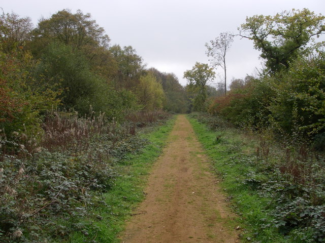 Chalkney wood - main ride - geograph.org.uk - 275321