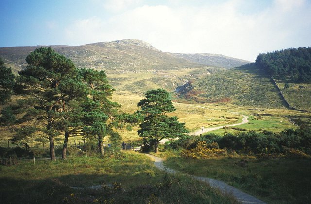 File:Crossing Shankey's River - geograph.org.uk - 56910.jpg