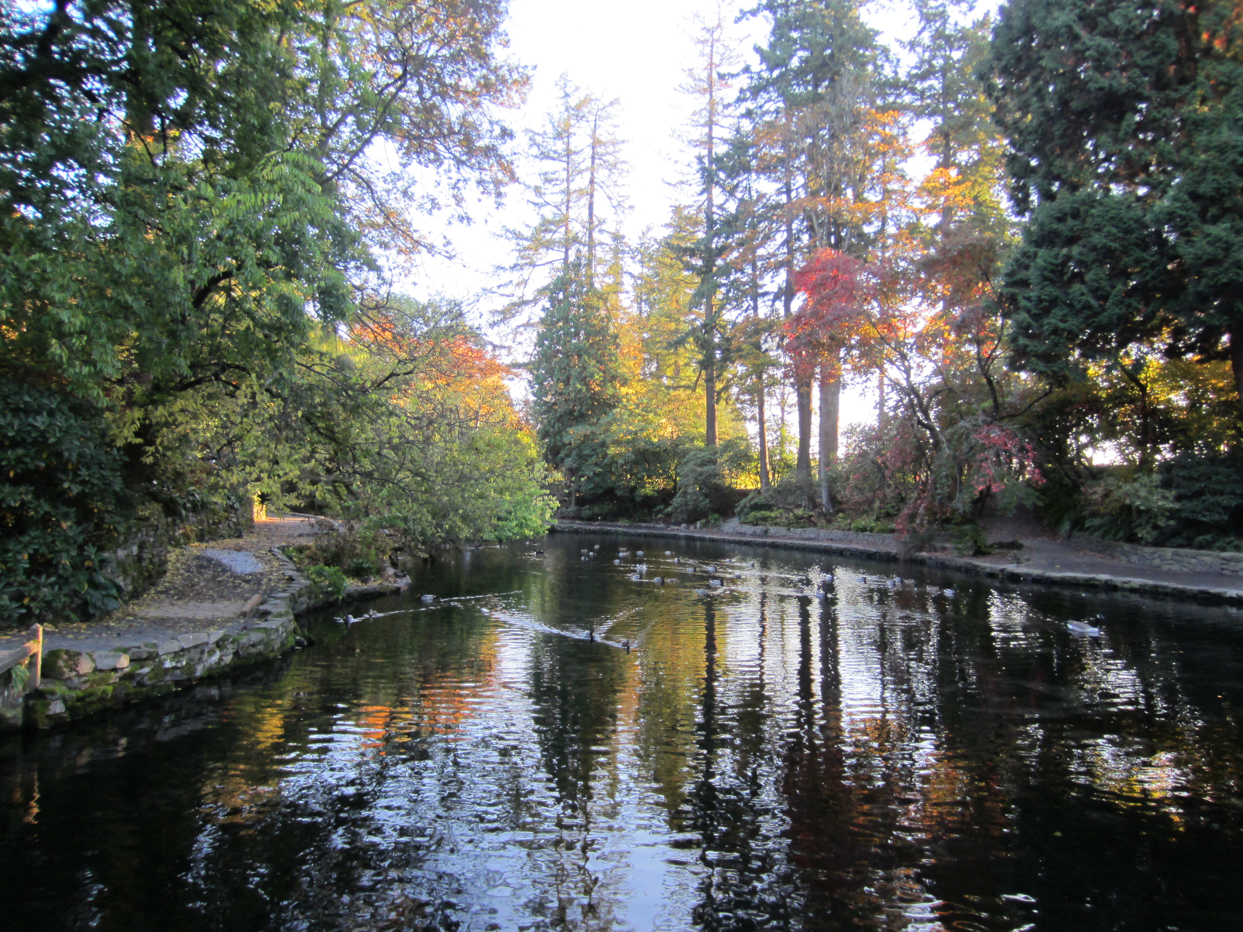 File Crystal Springs Rhododendron Garden Portland 2013 18 Jpg