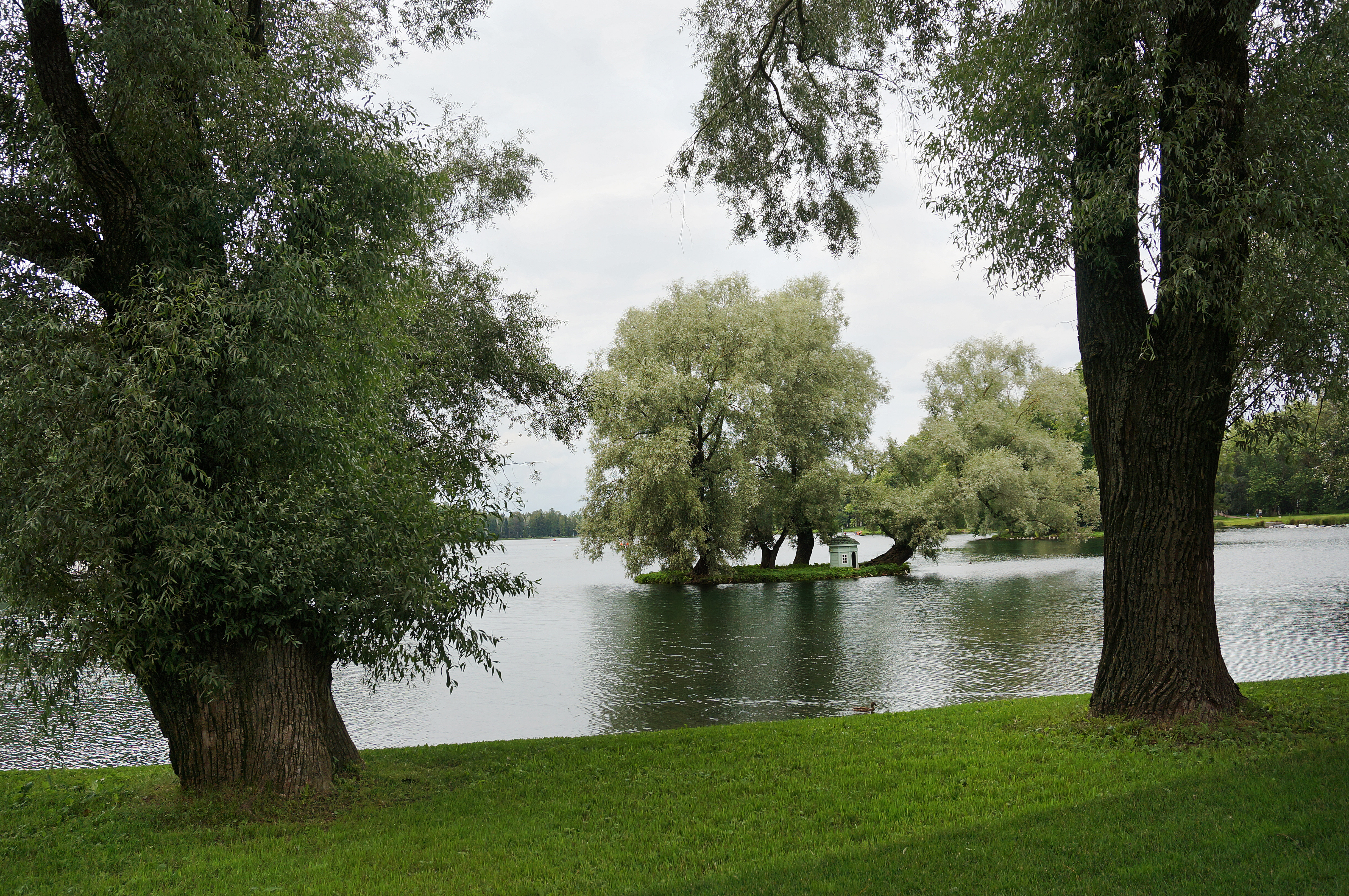 Дворцового парка на берегу белого озёра.