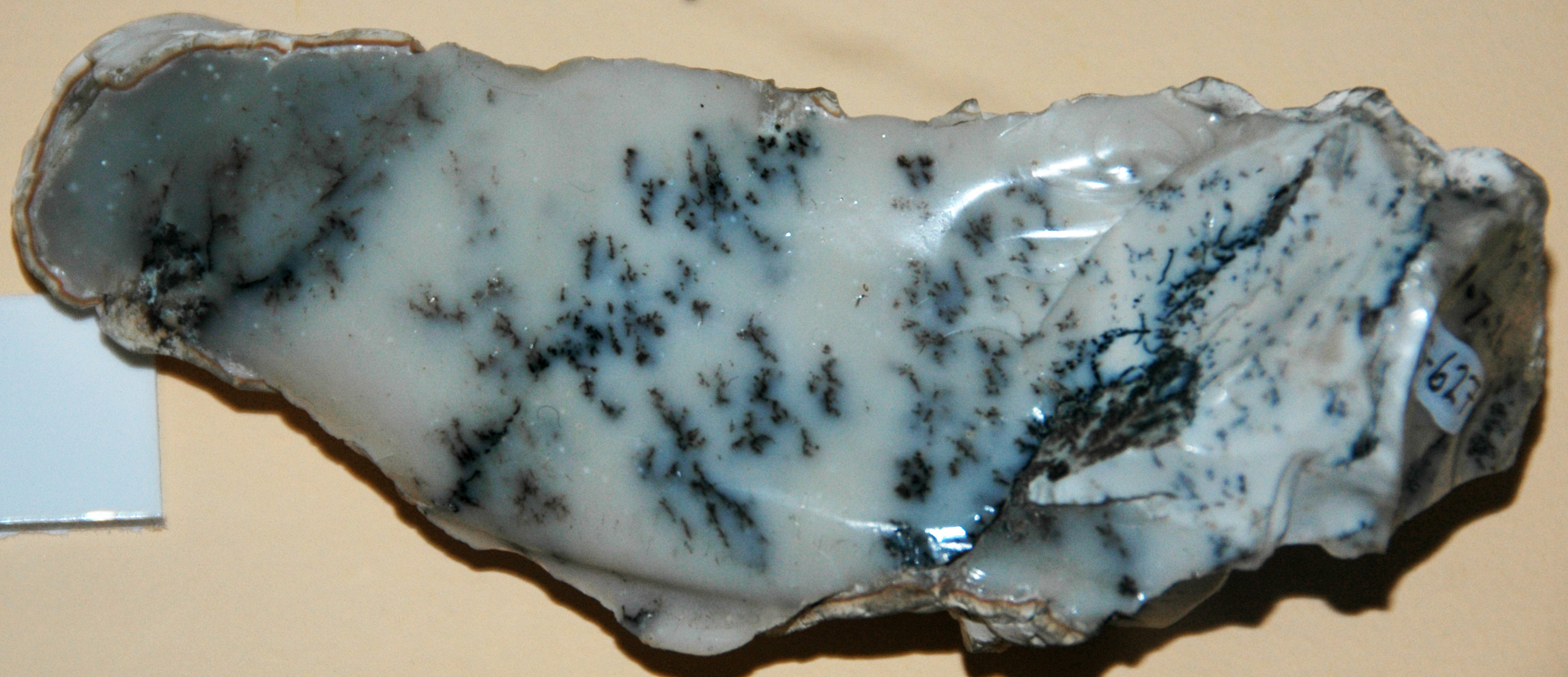 https://upload.wikimedia.org/wikipedia/commons/b/b1/Dendritic_opal_%2829816456982%29.jpg