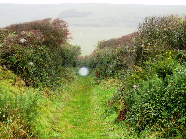 File:Descent towards Compton Farm - geograph.org.uk - 606470.jpg