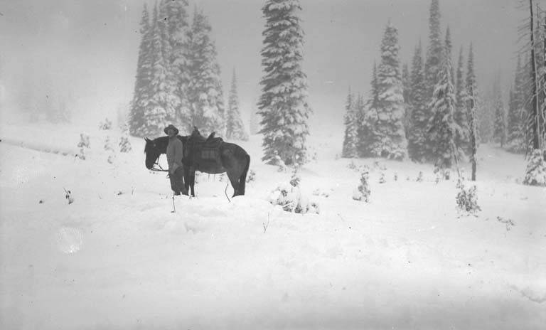 File:FE Matthes with horse, Pet, leaving Indian Henry's Hunting Ground, Mt Rainier, September 1911 (WASTATE 2331).jpeg