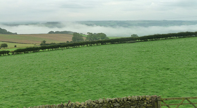 File:Farmland near Fourstones (3) - geograph.org.uk - 2431081.jpg