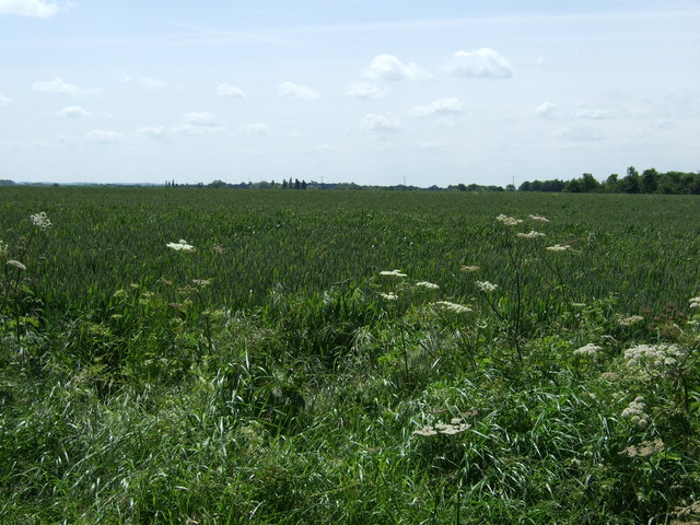 File:Farmland near Grafham - geograph.org.uk - 2994282.jpg