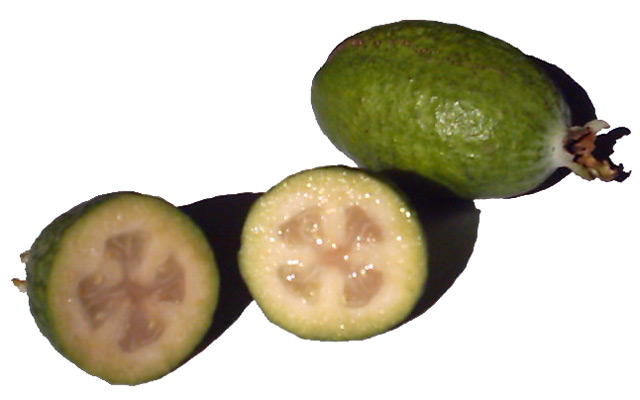 File:Feijoas on white.jpg