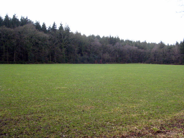 File:Field-woodland boundary. - geograph.org.uk - 1716846.jpg